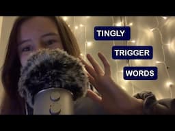 crispy ASMR trigger words (& hand movements)