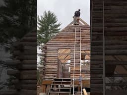 #cabin #building #logcabin #maine