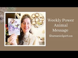 Jan 18-24, 2025: Weekly Power Animal Message And Crystal Healing Talisman. Hummingbird symbolism