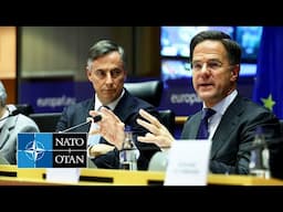 NATO Secretary General at joint committee meeting at the European Parliament, 13 JAN 2025