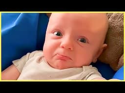 When Babies Experience Life's Surprises: Cutest Baby Reactions Ever!