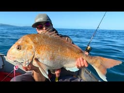 Kapiti Coast Boat Fishing Mission 16.4lb Snapper Landed!