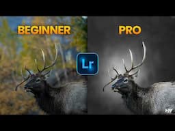 Learn to ENHANCE BLUR with TRENDING GREY BACKGROUNDS in Lightroom App | Android | iOS