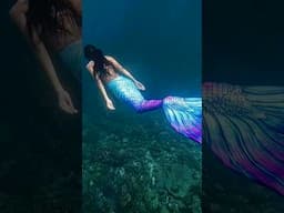 समंदर में दिखी एक Mermaid 😨 #mermaid #mystery #ocean