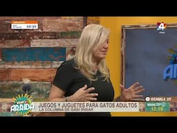 Vamo Arriba - Juegos y juguetes para gatos adultos