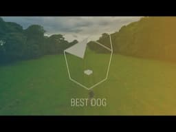 Best Dog (Intro Reel)