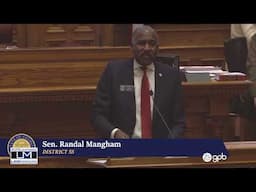 Sen. Mangham Calls Out Companies For Charging African American Communities More For Car Insurance