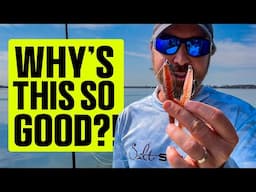 The Most ACCURATE Lure Color Test Ever? (New Penny vs. Terd Ferguson!)