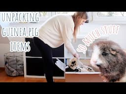 Guinea Pigs Explore New House | Unpacking Guinea Pig Items