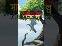 ছোট পাখির সাহসের গল্প #story #inspirationstory #inspiration #cartoon #insperationalstory