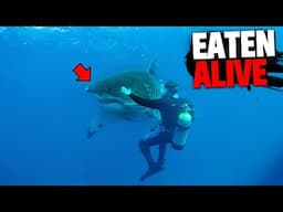 This Diver Decides To Separate From Group & Gets EATEN ALIVE From Shark!