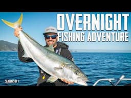 Camping on the boat! Is this fishing paradise? 4 yellowtail kingfish landed. S9 EP1 - Coromandel