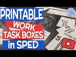 How to Differentiate Work Bins in Special Ed | Vocational Task Boxes for Autism Centers