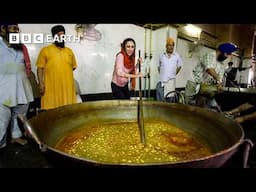 Largest Gurdwara in Delhi Feeds Thousands for Free | BBC Earth Explore