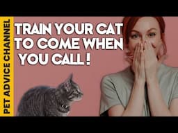 Tips on how to train a cat to respond to its name