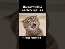 The Many Crimes of Crazy Cat LuLu