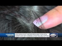 Kids should get checked regularly for lice & experts say wet combing is most reliable option