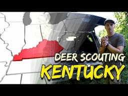 Scouting Out-of-State PUBLIC LAND for Deer