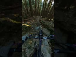 Crazy ride on a rock garden #mountainbiking #pov #mtb