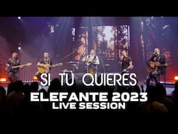 Si tu Quieres ELEFANTE 2023 (Live Session)