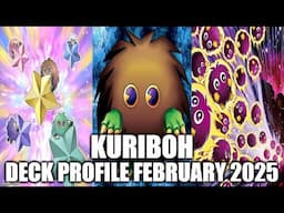 KURIBOH DECK PROFILE (FEBRUARY 2025) YU-GI-OH!