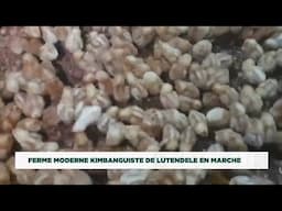 RELANCE DE LA FERME DE LUTENDELE