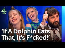 NEW: Joe Wilkinson Hires An Assassin & Katherine Ryan’s BIG Regret | Cats Does Countdown | Channel 4