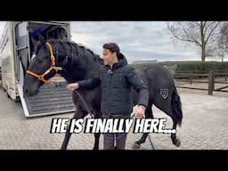 MY NEW HORSE ARRIVES HOME