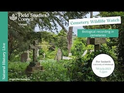 Cemetery Wildlife Watch: Biological recording in cemeteries