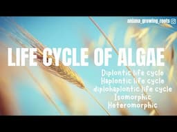 Diplohaplontic | Diplontic | Haplontic | Isomorphic Heteromorphic | Life Cycles Of Algae  |