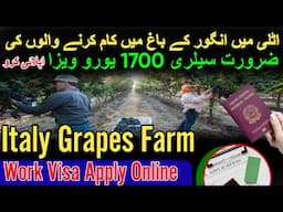 Italy Grapes Farm Work Visa | Agriculture Job in Italy | Italy seasonal work visa update | job in EU