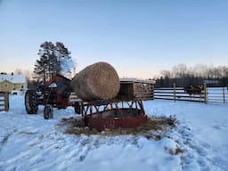 Farmsteading in the Winter. Melissa still in Louisiana. First plowable snowstorm. Cold coming.