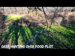 Deer Hunting Over Food Plot | Season Update