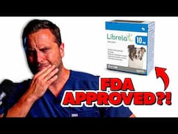 Is Librela Safe For Your Dog?