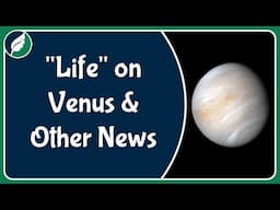 "Life" on Venus and other nature news from September 2020