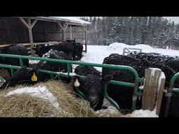 Try Again. Haulin Hay