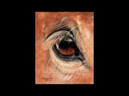 Horse Eye Pastel Demo