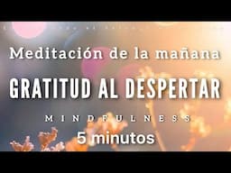 Meditación de la mañana GRATITUD 🙏🏼☀️💓  - 5 minutos MINDFULNESS