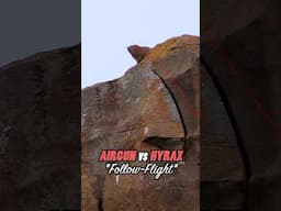 Airgun Hunting: Watch this Steep Shot at a Rock Hyrax