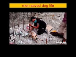 dog ki bachi Jaan 😢😢#shorts #facts #youtubeshorts  #hindi #amazingfacts