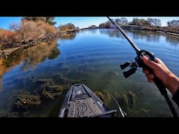 Exploring the deep backwaters of the Delta