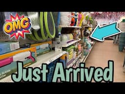 DOLLAR TREE🚨 SHOCKING NEW EASTER & OUTDOOR FUN STARTING AT $1.25 & UP‼️ #dollartree  #new