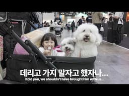 멘탈도 지갑도 다 털린 날 (feat.펫박람회)