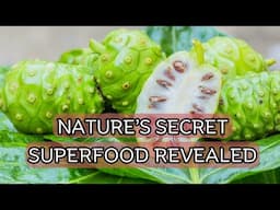 This is why noni fruit is a game-changer for your health / Earth's Medicine