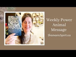 Jan 11-17, 2025: Weekly Power Animal Message And Crystal Healing Talisman. Leopard Spirit Animal