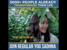 Regular Yoga 🧘🏿Sadhana Online | @yogavidyaschool | Link In Description 🧘‍♀️