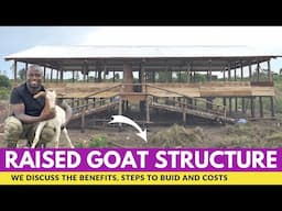 Mistakes To Avoid When Constructing a Raised Goat Structure