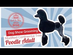 Dog Show Grooming: How to do a Modified Continental on a Poodle