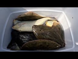 Yellow Belly Flounder Catch & Cook | Smoked Mullet