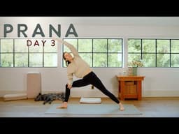 Prana - Day 3